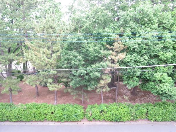 トップ南流山の現地からの眺望画像