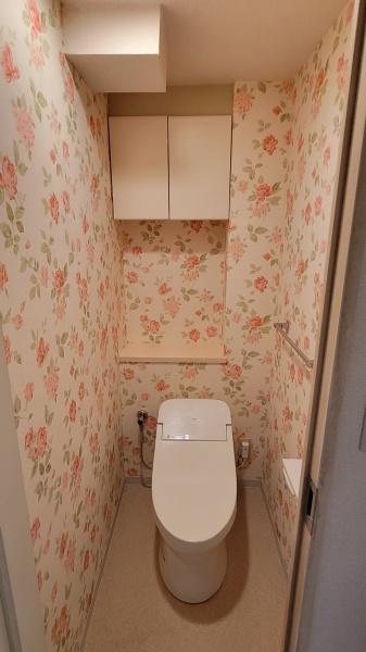 東急ドエルステージ２１センターコート壱番館のトイレ画像