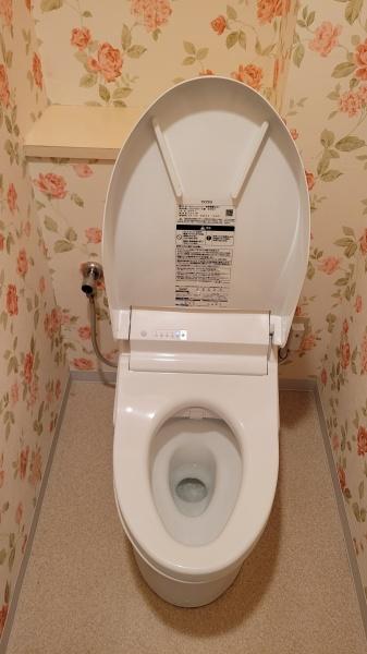 東急ドエルステージ２１センターコート壱番館のトイレ画像