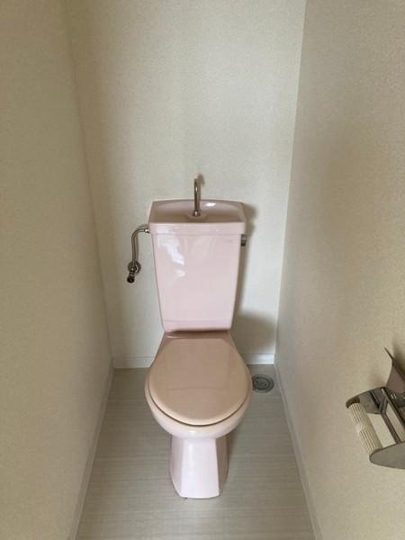 プラザ彦根のトイレ画像
