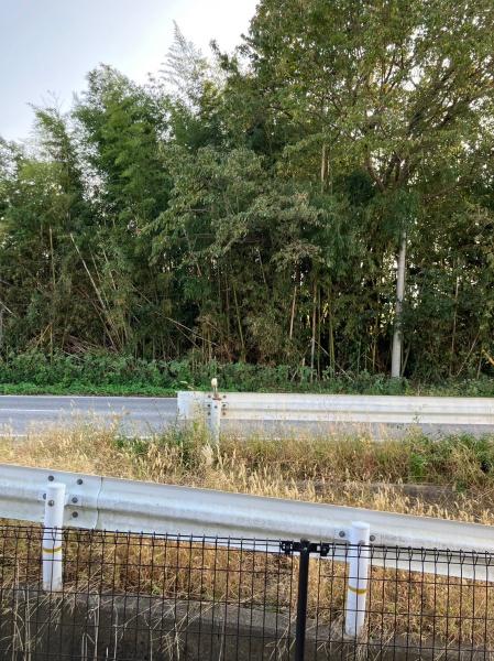 リベラル南彦根の現地からの眺望画像