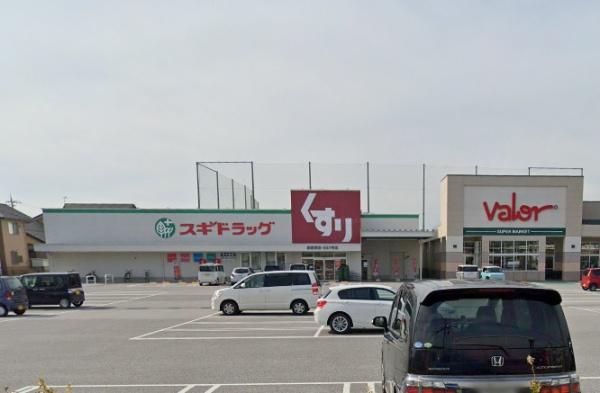 彦根市西沼波町の店舗(一戸建)のドラッグストア画像