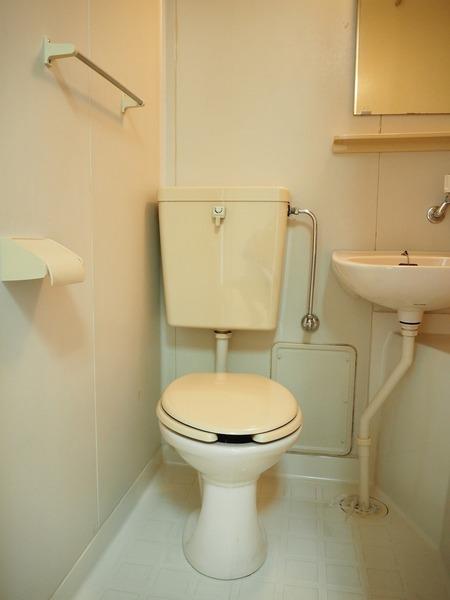 メゾン谷沢1のトイレ画像
