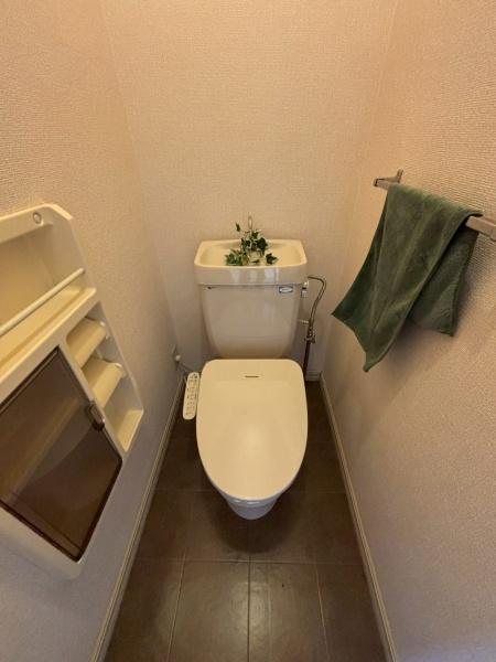 ハイツてんりゅうのトイレ画像