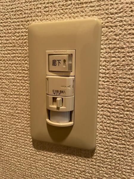ヴァヤーシェのその他画像