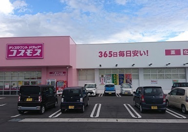 Gran lagoのドラッグストア画像