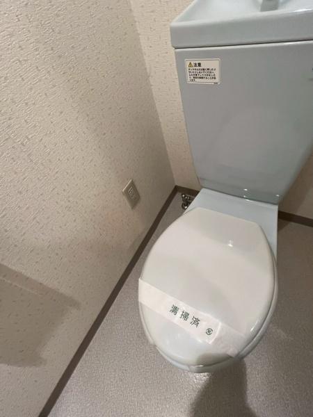 ヴァヤーシェのトイレ画像