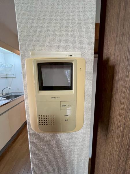 ヴァヤーシェのセキュリティ画像