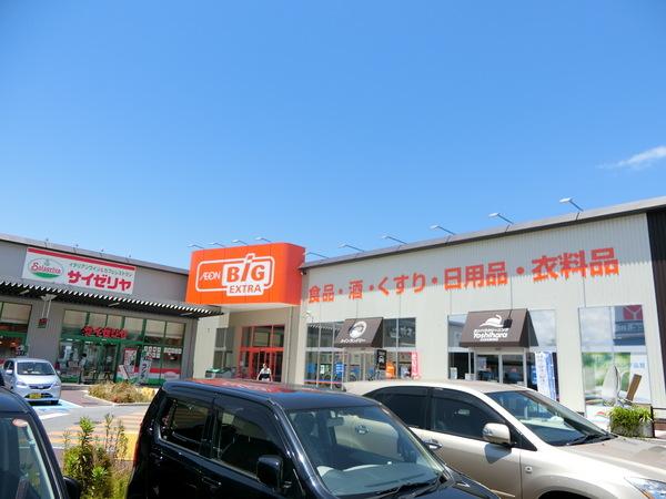 キャッスルハイツ古沢のスーパー画像