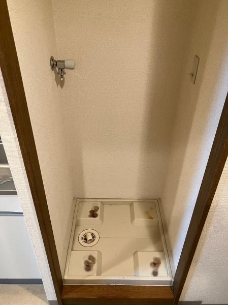 ヴァヤーシェのその他画像