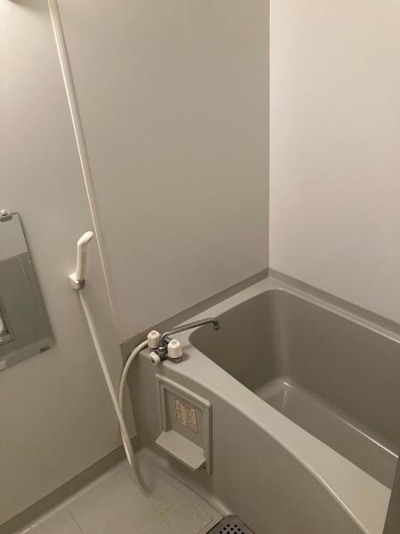 ヴァヤーシェのバス画像