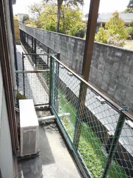 コーポ伊藤の庭画像