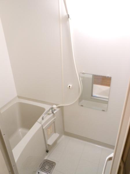 ヴァヤーシェのバス画像