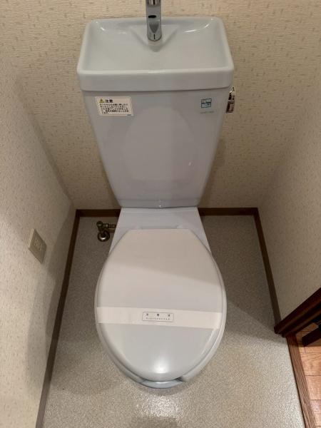 ヴァヤーシェのトイレ画像