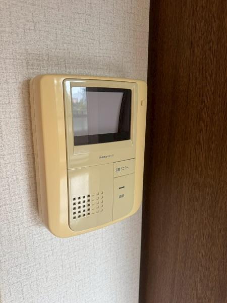 ヴァヤーシェのセキュリティ画像