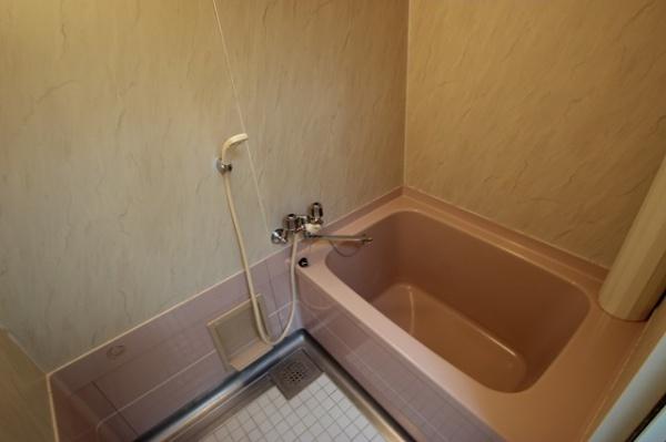 アドニス・ベルロードのバス画像