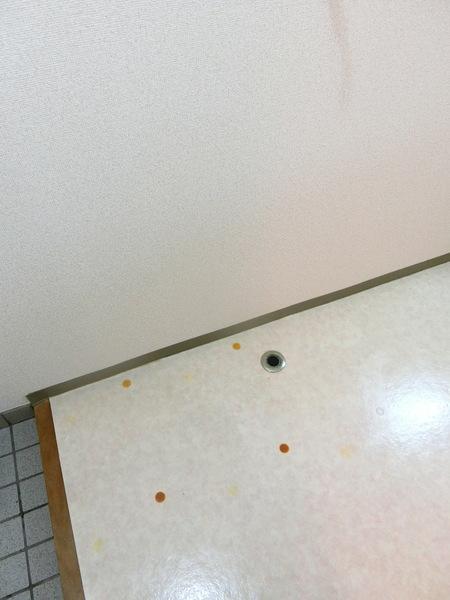 ロイヤル戸賀のその他画像