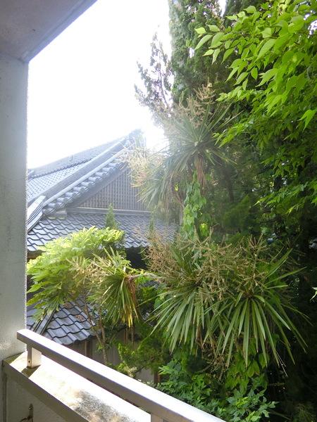 フラットＢｅ－ＯＮＥの現地からの眺望画像