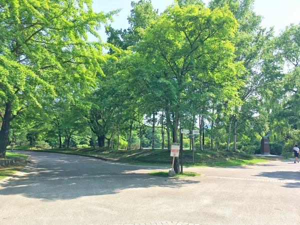 マジソンハイツの公園画像