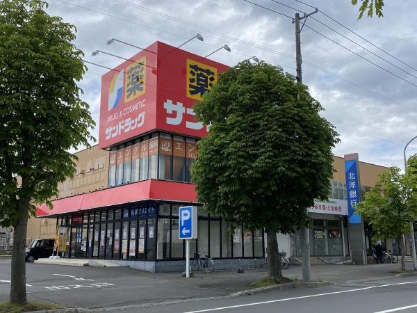 上野幌ファミールハイツ壱番館のドラッグストア画像