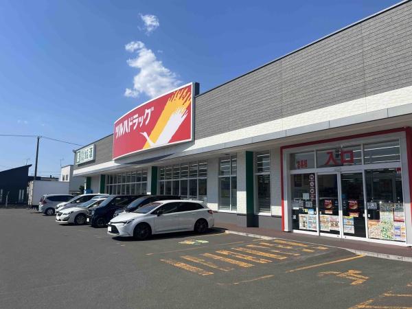 ラピスガーデン新川のドラッグストア画像
