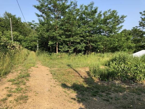 北ノ沢・土地の前面道路含む現地写真画像