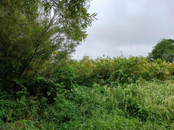中沼町・土地のその他現地画像