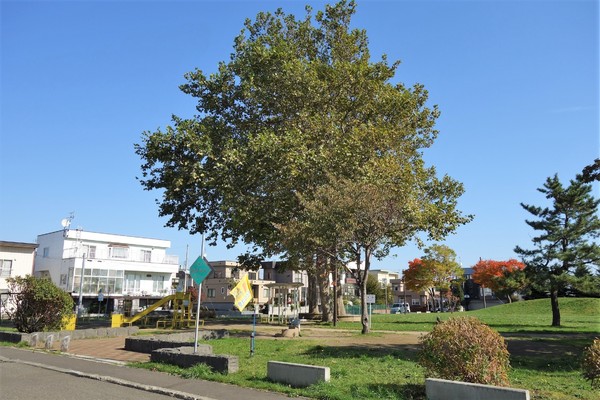 ハウスオブリザ伏古の公園画像