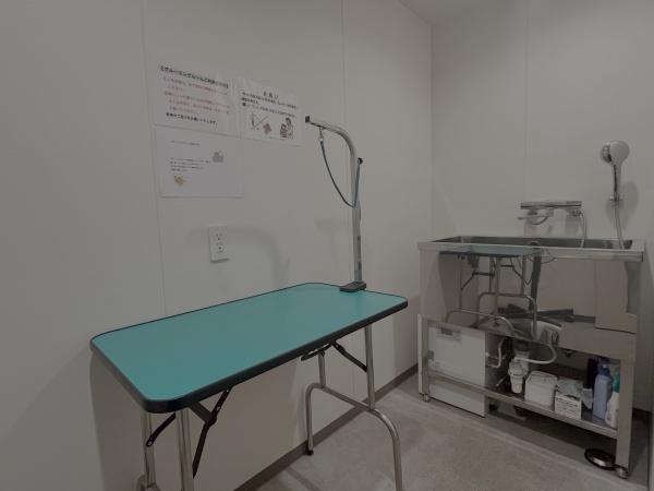 グランファーレ札幌山鼻レガリアウエストウイングのその他共用部分画像