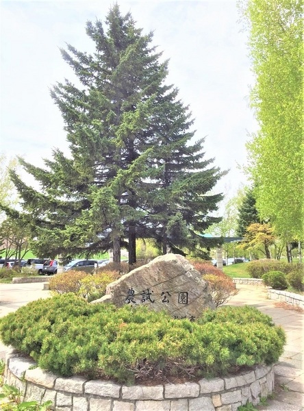 八軒9西10・戸建の公園画像