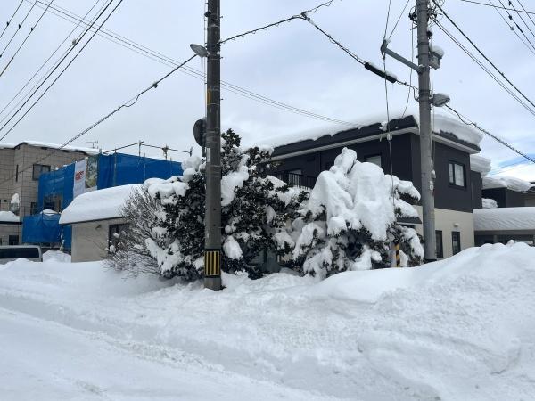 八軒9西10・戸建の前面道路含む現地写真画像