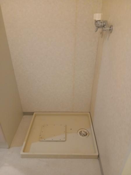 ロイヤルシャトー北円山EAST棟の洗面台・洗面所画像