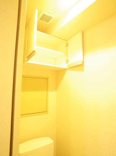 ライオンズマンション一橋学園のトイレ画像