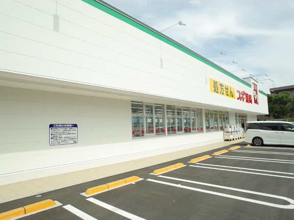 小平市上水新町３丁目の新築一戸建のドラッグストア画像