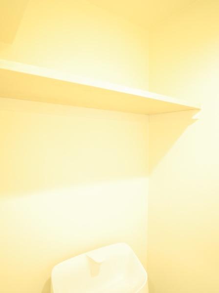 ウィスタリヤマンション小川東町のトイレ画像