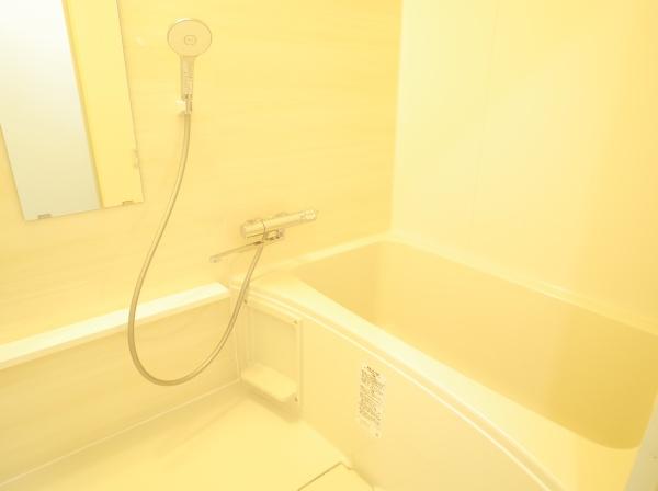 ルミナス小平弐番館のバス画像