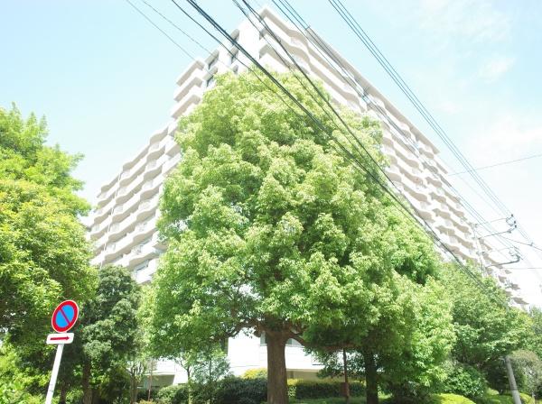 ガーデンハイツ小平１番館のその他現地画像