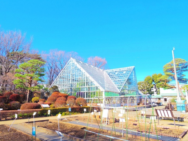小平市中島町の土地のレジャー・観光画像
