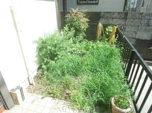 小平市栄町３丁目の中古一戸建の庭画像