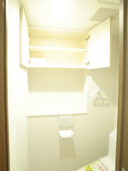 レクセルマンション一橋学園のトイレ画像