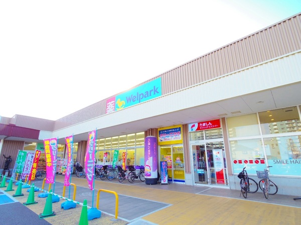 小平市中島町の新築一戸建のドラッグストア画像