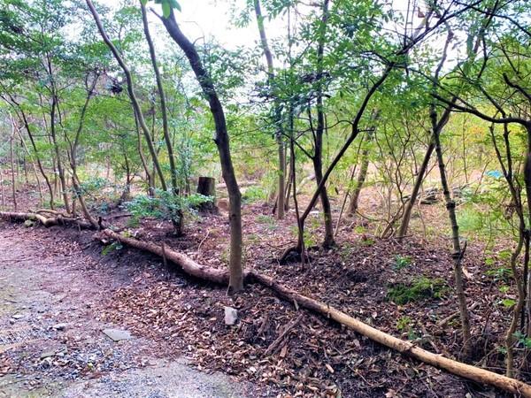 福岡県糸島市高祖字金剛土地の現地土地写真画像