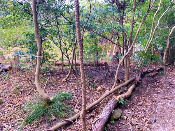 福岡県糸島市高祖字金剛土地の現地土地写真画像