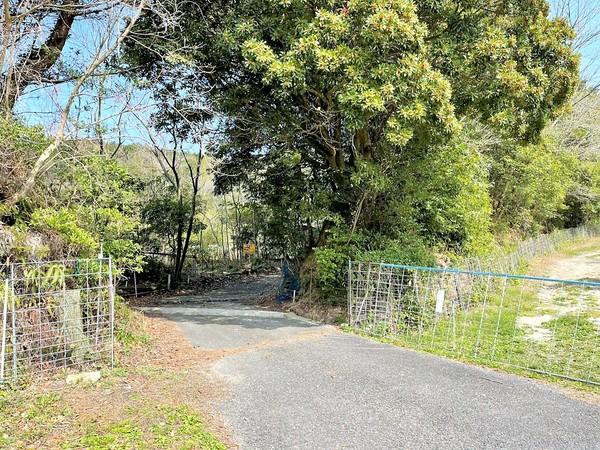 福岡県糸島市高祖字金剛土地の前面道路含む現地写真画像