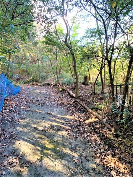 福岡県糸島市高祖字金剛土地の現地土地写真画像