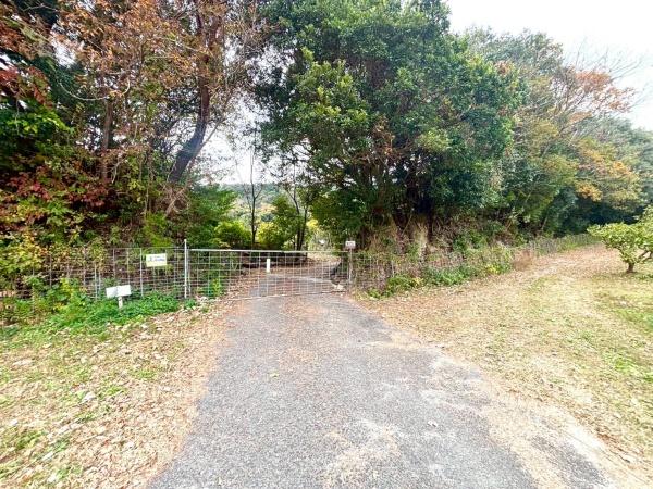 福岡県糸島市高祖字金剛土地の前面道路含む現地写真画像