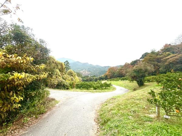 福岡県糸島市高祖字金剛土地の前面道路含む現地写真画像