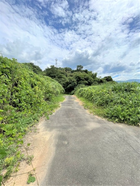 糸島市曽根字中土地の前面道路含む現地写真画像
