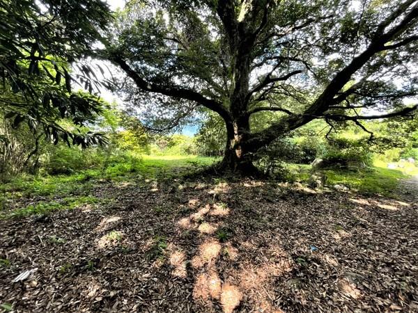 福岡市早良区石釜字唐ノ原土地の現地土地写真画像