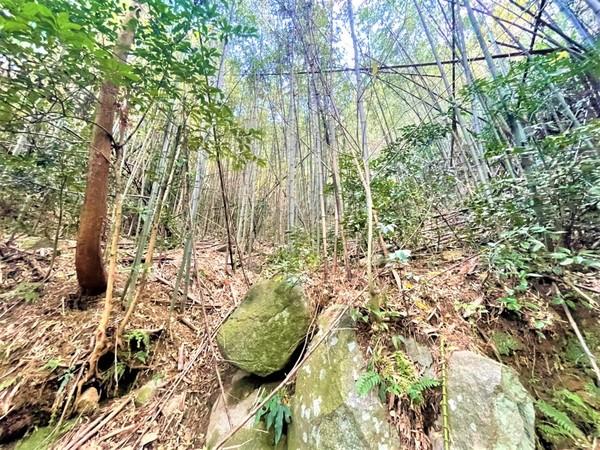 糸島市二丈一貴山土地の現地土地写真画像